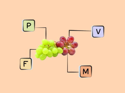 Nutrients in European grapes.