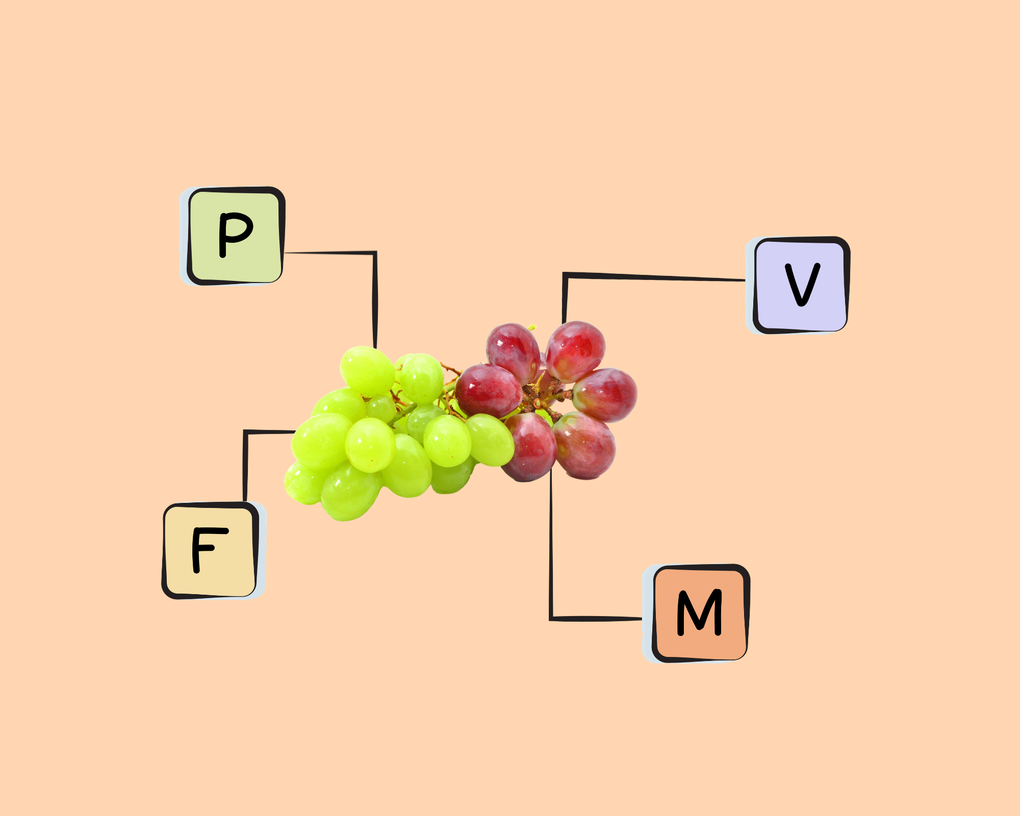 european-grape-nutrients