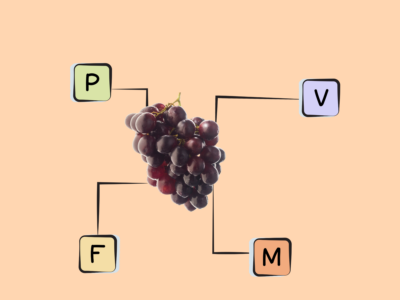 Nutrients in muscadine grapes.