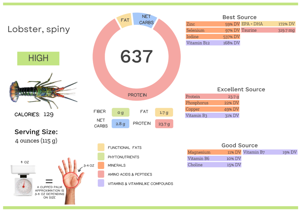 Visual graphic of nutrients in spiny lobster.