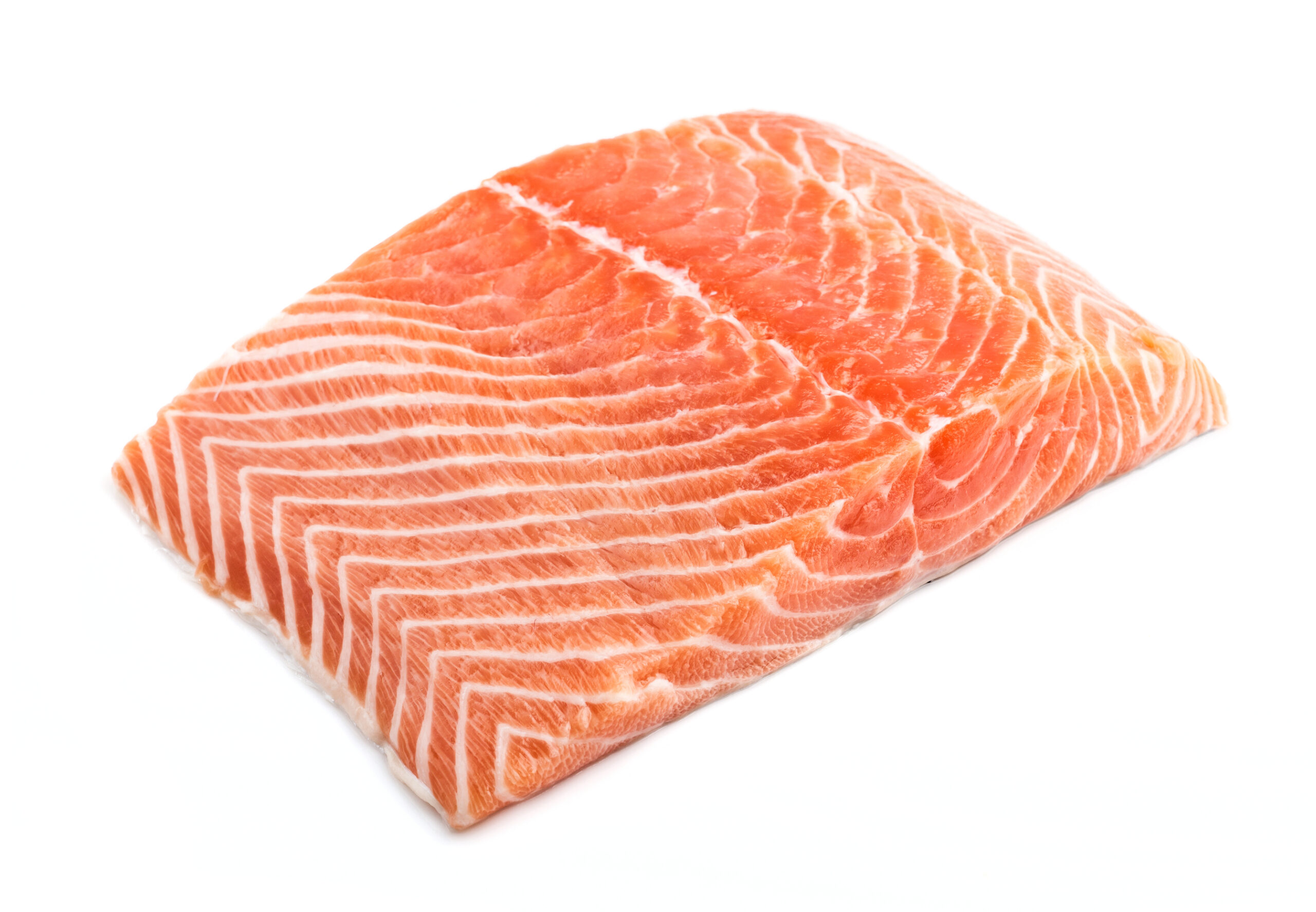 An image of farmed Atlantic salmon.