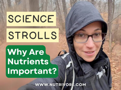 Why are Nutrients Important Nutrivore Blog