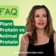 plant protein vs animal protein Nutrivore blog