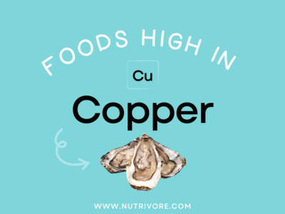 Foods High in Copper