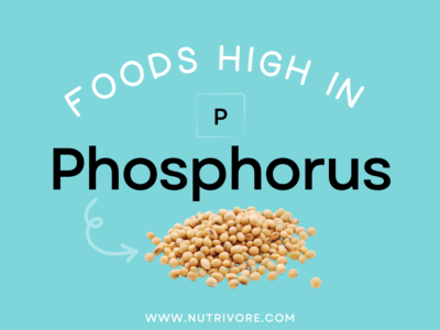 Foods High in Phosphorus