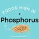 Foods High in Phosphorus