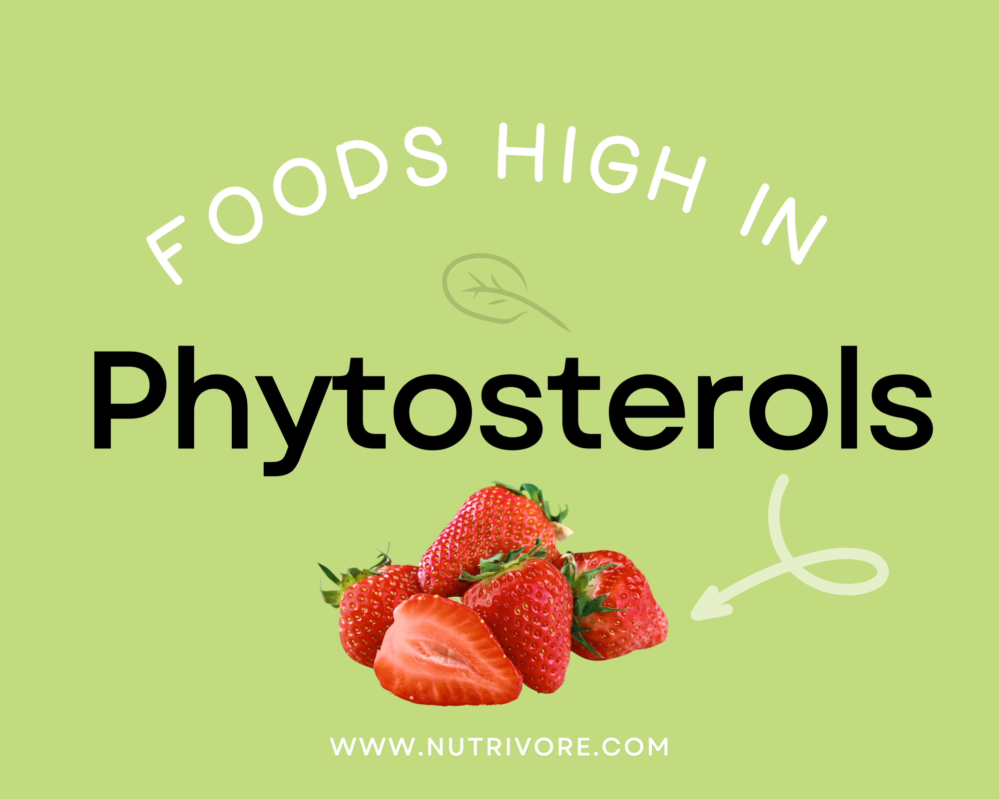 Foods High in Phytosterols (Sterols and Stanols)