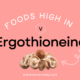 Foods High in Ergothioneine