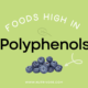 Foods High in Polyphenols