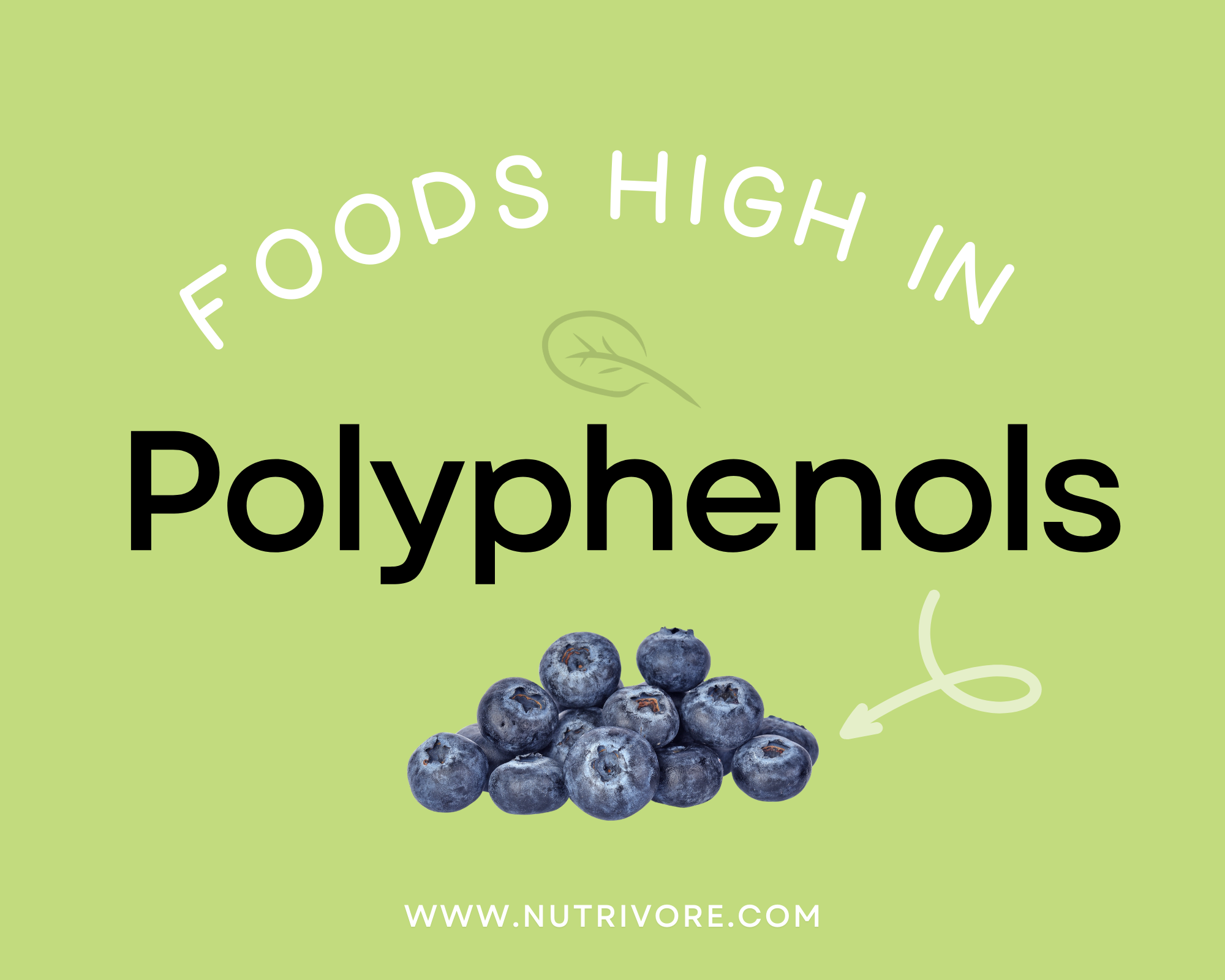 Foods High in Polyphenols