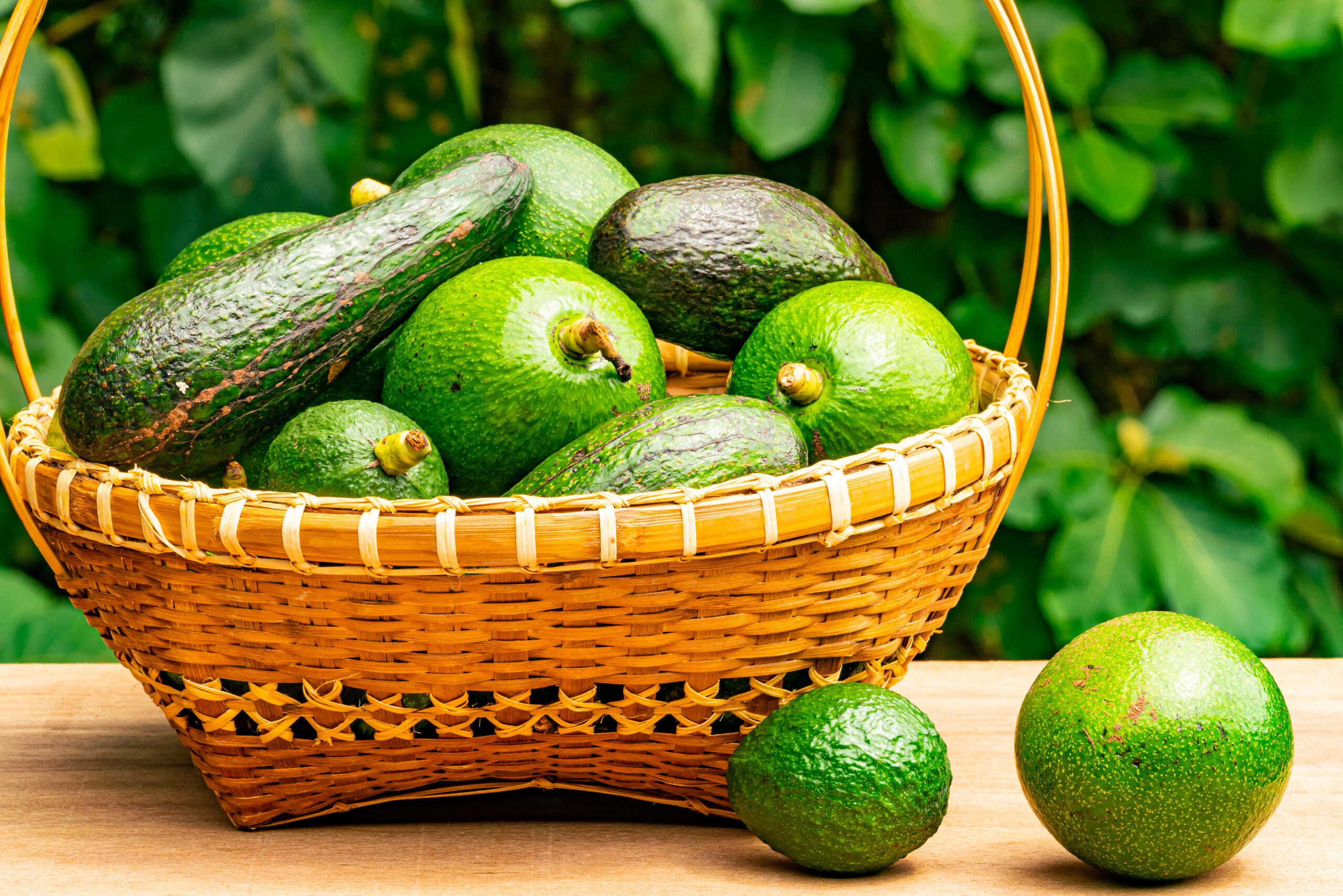An image of a basket of different varieties of avocados.