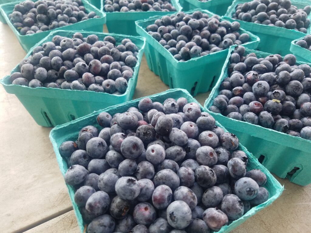 An image of blueberries at a farmer's market.