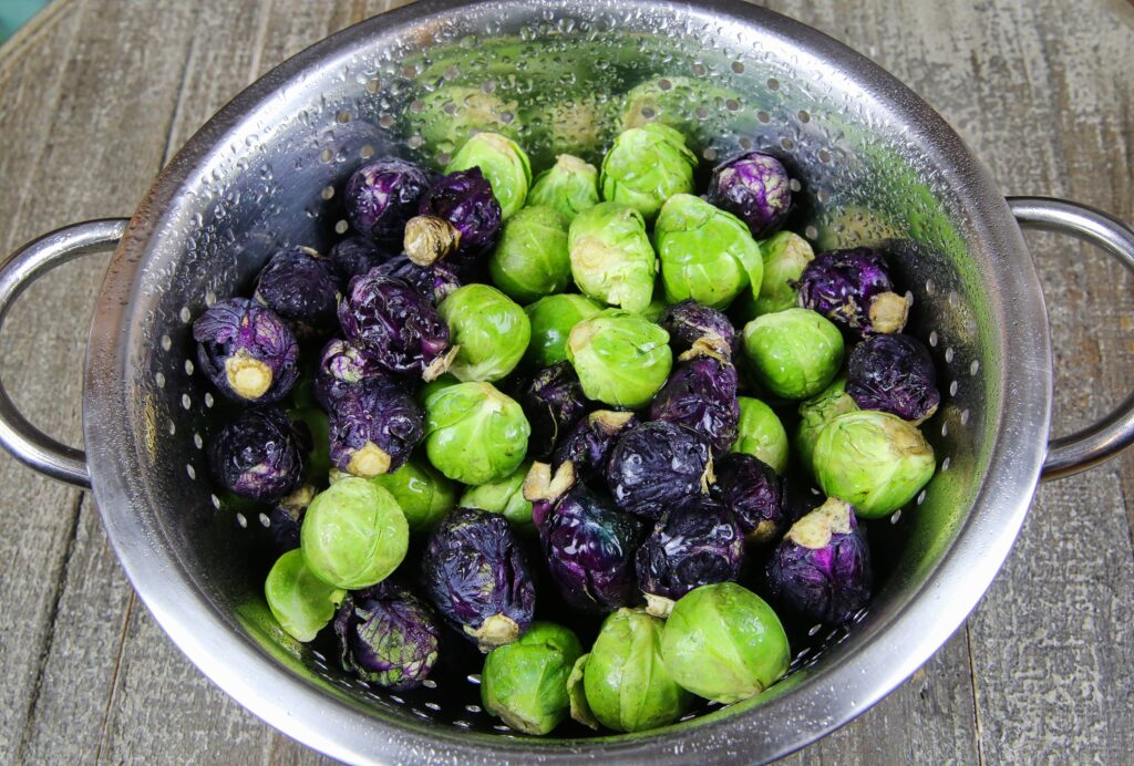An image of a mix of freshly washed purple and green Brussels sprouts in a colander.