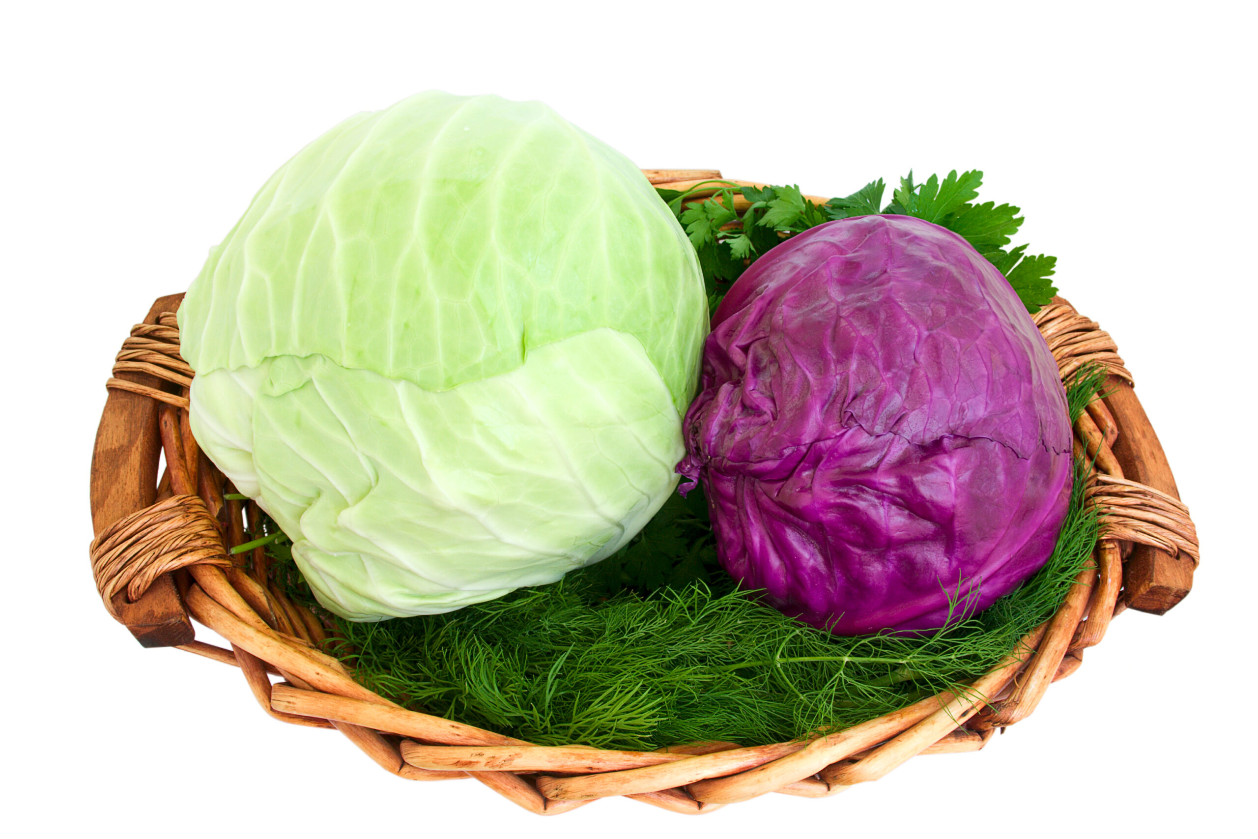 An image of different varieties of cabbage.