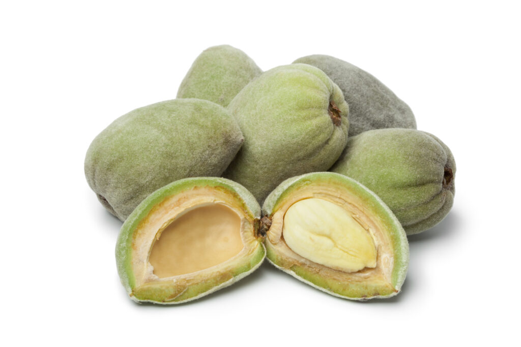 An image of green almonds.
