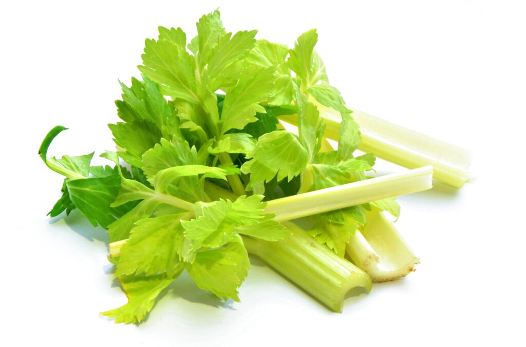 An image of celery leaves.