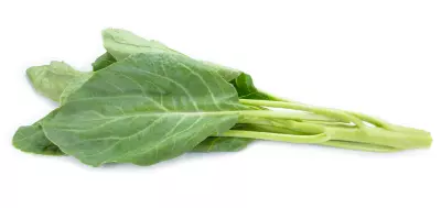 An image of collard greens.