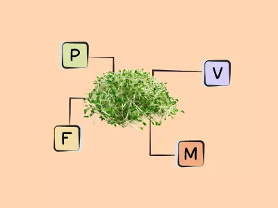 Nutrients in Alfalfa Sprouts