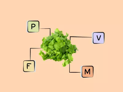 Nutrients in Cilantro