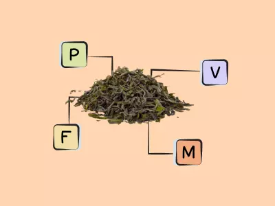 Nutrients in Green Tea