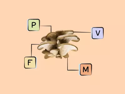 Nutrients in Oyster Mushroom