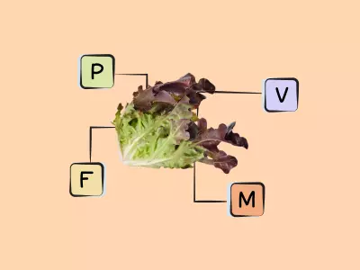 Nutrients in Red Leaf Lettuce