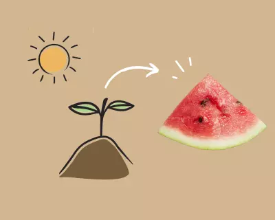 How to grow watermelon.