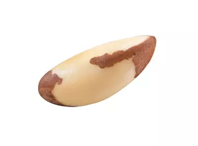 An image of a Brazil nut.