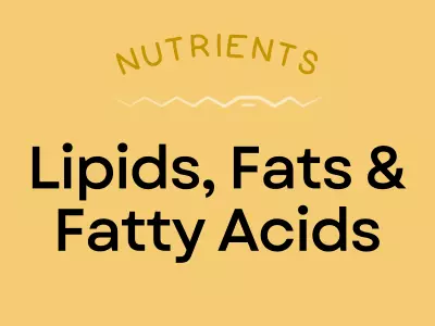 Learn about the importance of Lipids, Fats and Fatty Acids in your diet and how they affect your health