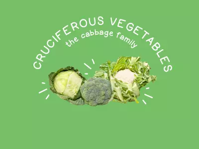 Food Families Cruciferous Vegetables