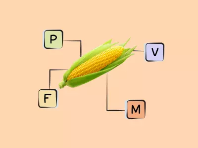Nutrients in yellow sweet corn.
