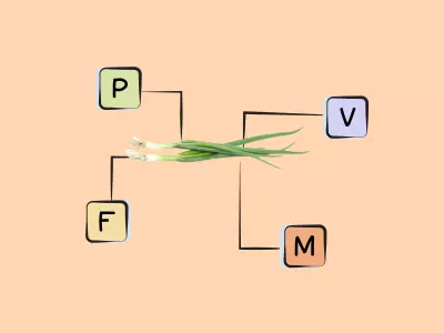 Nutrients in Green Onion