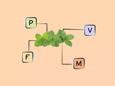 Nutrients in Peppermint