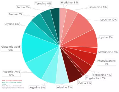Visual graphic of amino acid distribution in beef liver.