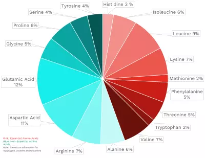Visual graphic of amino acid distribution in collard greens.