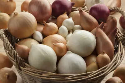 A basket of assorted Onions