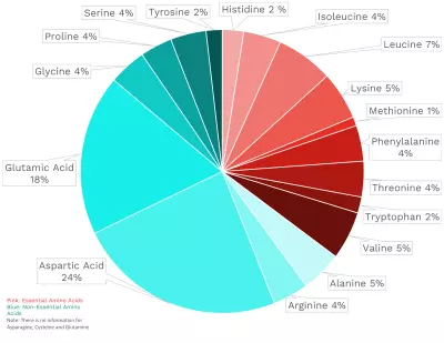Visual graphic of amino acid distribution in celery.