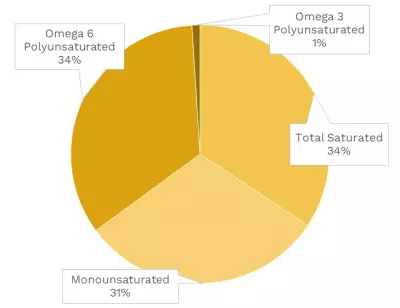 Visual graphic of fats in chicken heart.