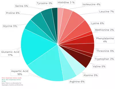 Visual graphic of amino acid distribution in green chili pepper.