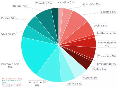 Visual graphic of amino acid distribution in leeks.
