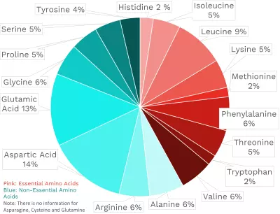 Visual graphic of amino acid distribution in peppermint.