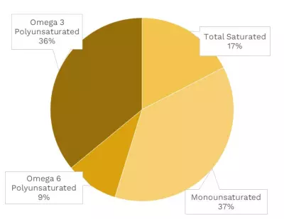 Visual graphic of fats in wild Atlantic salmon.