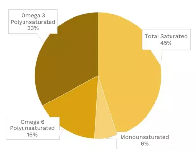 Visual graphic of fats in zucchini.