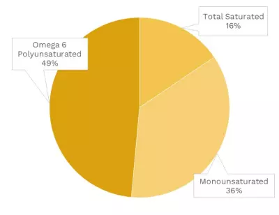 Visual graphic of fats in watermelon.