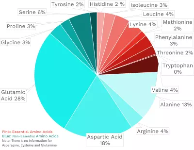 Visual graphic of amino acid distribution in cantaloupe.
