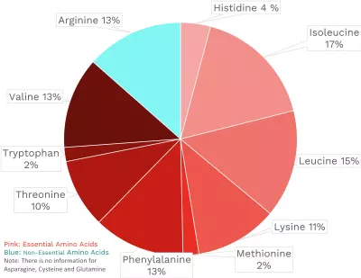 Visual graphic of amino acid distribution in swiss chard.