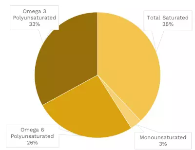 Visual graphic of fats in honeydew melon.
