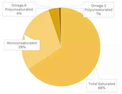 Visual graphic of fats in swiss cheese.
