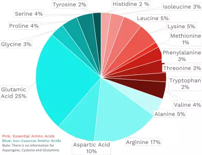Visual graphic of amino acid distribution in cassava.