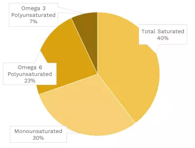 Visual graphic of fats in ginger root.